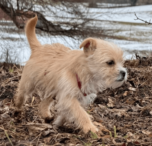 2026 02 25 12 40 00 Implementation Partner Search – Datei Explorer