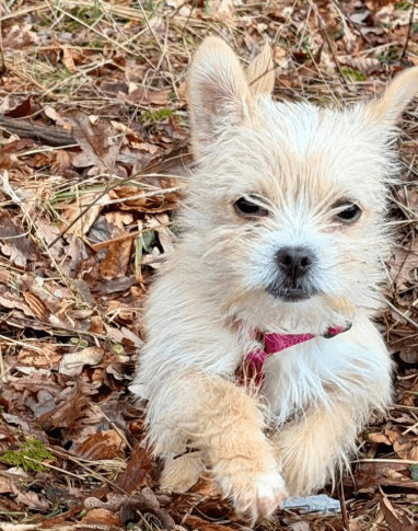 2026 02 25 12 40 06 Implementation Partner Search – Datei Explorer