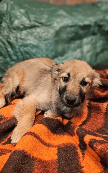 2026 02 25 12 44 05 Implementation Partner Search – Datei Explorer