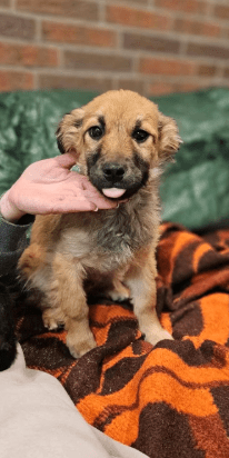 2026 02 25 12 44 11 Implementation Partner Search – Datei Explorer