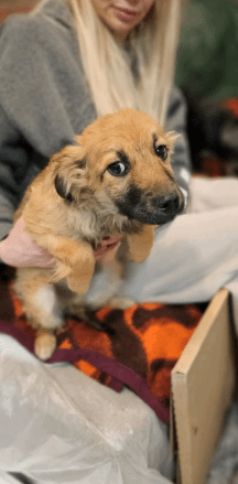 2026 02 25 12 44 19 Implementation Partner Search – Datei Explorer