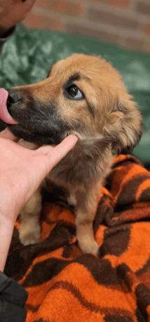 2026 02 25 12 44 25 Implementation Partner Search – Datei Explorer