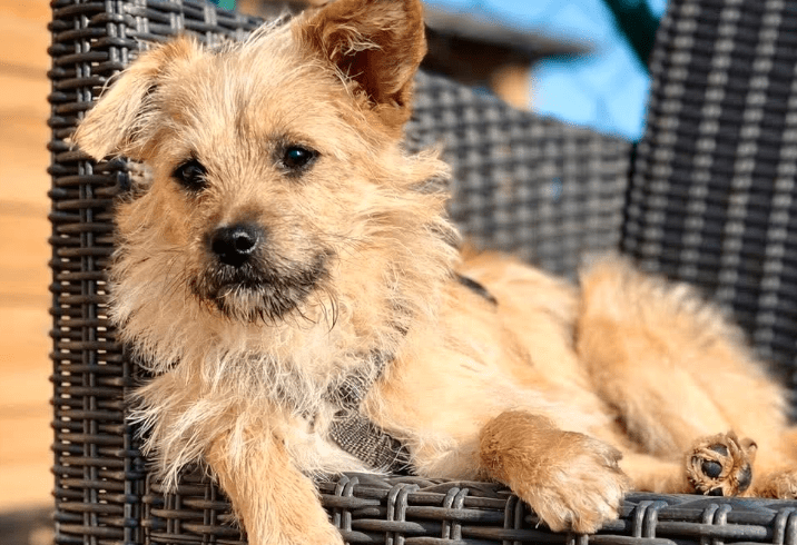 2026 03 04 11 45 35 Desktop – Datei Explorer