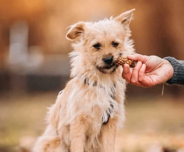 2026 03 04 11 45 39 Desktop – Datei Explorer