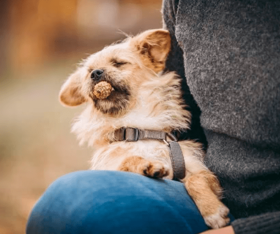 2026 03 04 11 45 43 Desktop – Datei Explorer