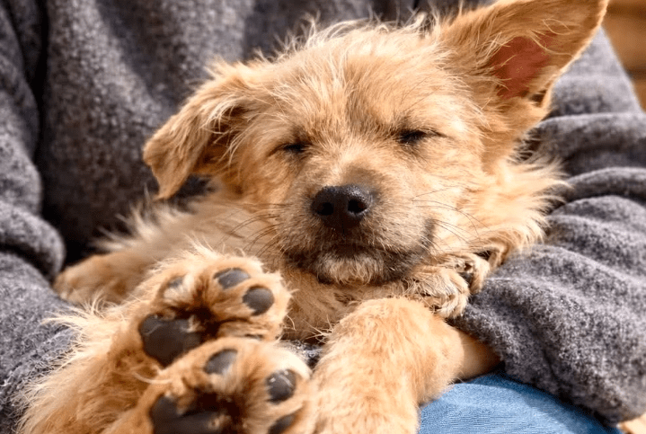 2026 03 04 11 45 47 Desktop – Datei Explorer