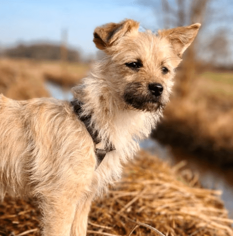 2026 03 04 11 45 52 Desktop – Datei Explorer