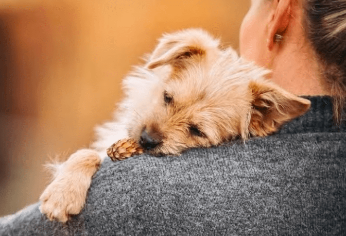 2026 03 04 11 46 00 Desktop – Datei Explorer