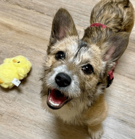 2026 03 04 11 54 06 Desktop – Datei Explorer