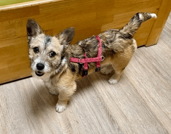 2026 03 04 11 54 14 Desktop – Datei Explorer