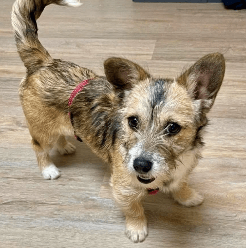 2026 03 04 11 54 18 Desktop – Datei Explorer