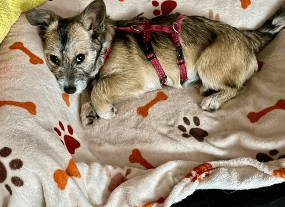 2026 03 04 11 54 23 Desktop – Datei Explorer