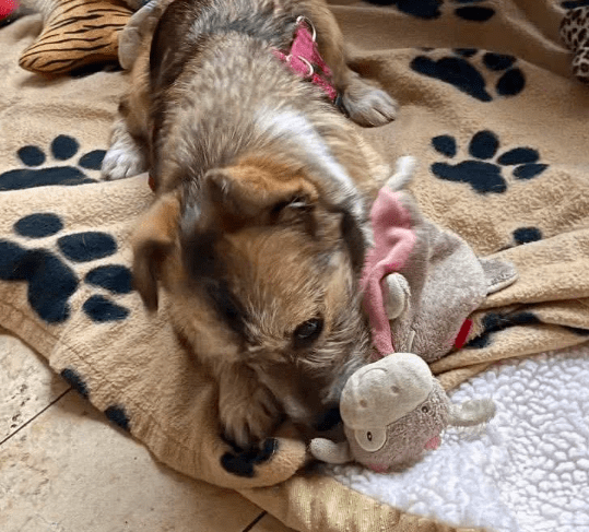 2026 03 04 11 54 29 Desktop – Datei Explorer