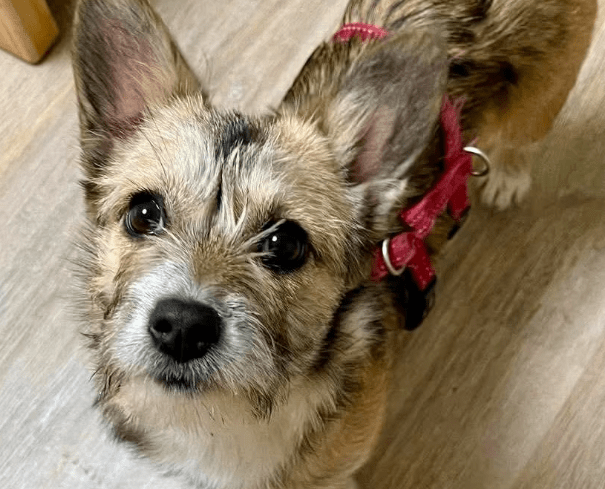 2026 03 04 11 54 36 Desktop – Datei Explorer