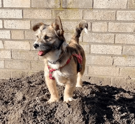 2026 03 04 11 54 47 Desktop – Datei Explorer