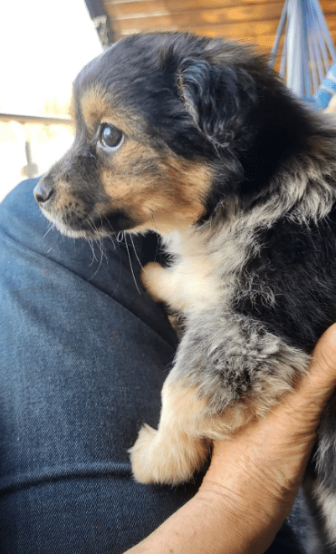 2026 03 09 11 46 57 Chat Fischer, Jannis Microsoft Teams