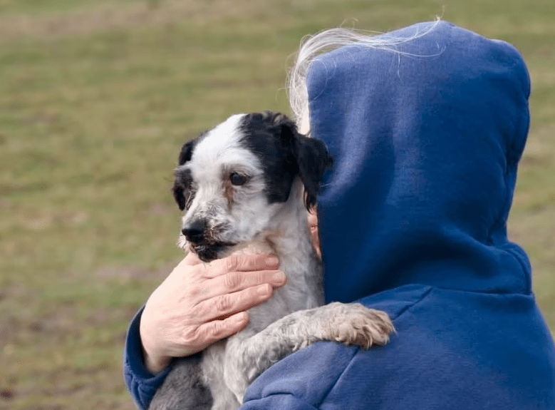 2026 03 20 08 38 48 PPM Project Initiation Document.pptx PowerPoint