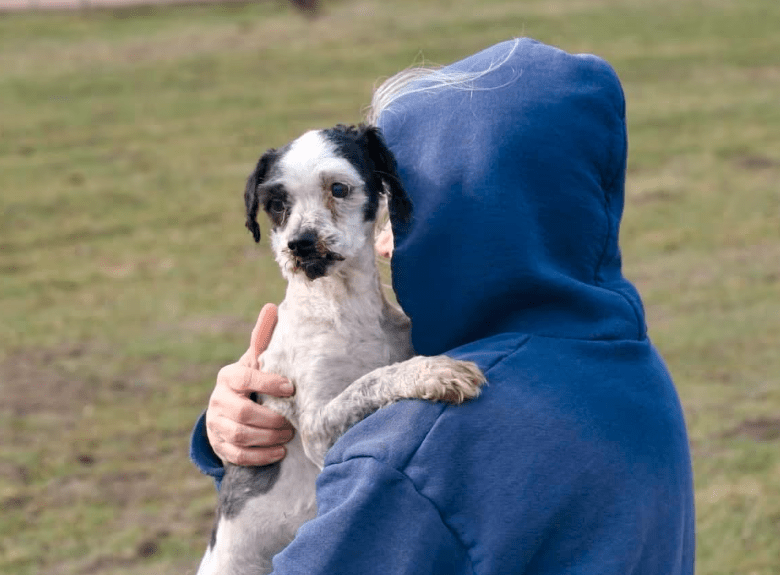 2026 03 20 08 38 54 PPM Project Initiation Document.pptx PowerPoint