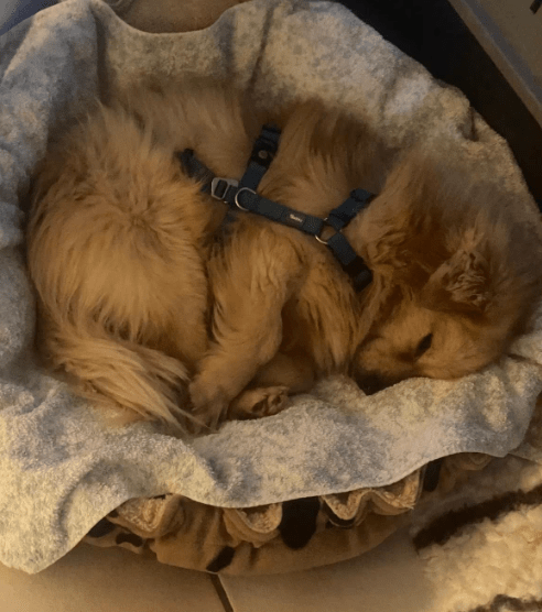 2026 03 20 08 52 06 PPM Project Initiation Document.pptx PowerPoint