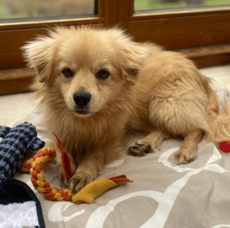 2026 03 20 08 52 14 PPM Project Initiation Document.pptx PowerPoint