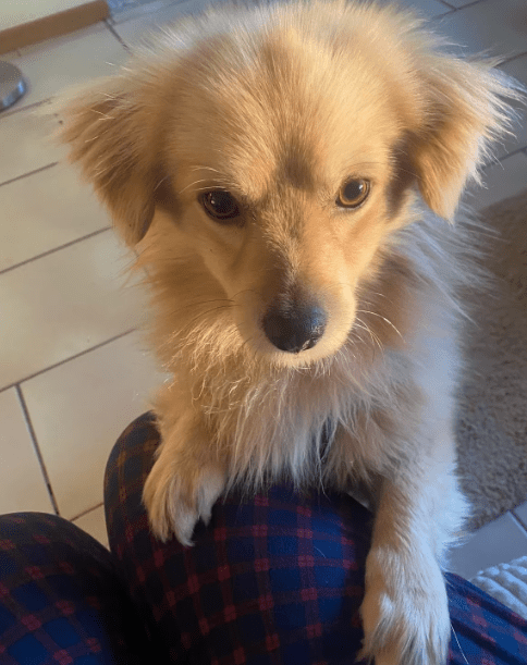 2026 03 20 08 52 18 PPM Project Initiation Document.pptx PowerPoint