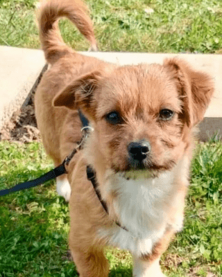 Ekira (BV) Ekira (BV)