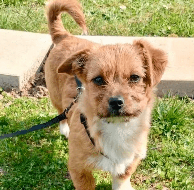 2026 03 25 20 40 01 Posteingang Sina.Rieke Kroeger@oetker.com Outlook