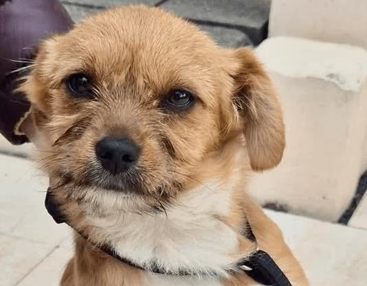 2026 03 25 20 40 06 Posteingang Sina.Rieke Kroeger@oetker.com Outlook