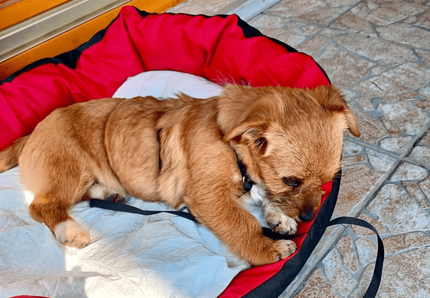 2026 03 25 20 40 10 Posteingang Sina.Rieke Kroeger@oetker.com Outlook