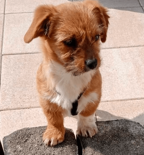 2026 03 25 20 40 16 Posteingang Sina.Rieke Kroeger@oetker.com Outlook