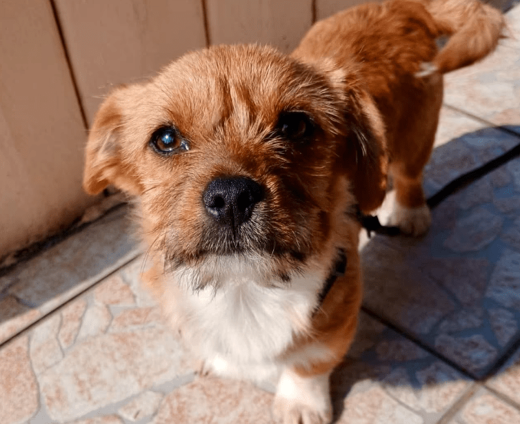 2026 03 25 20 40 21 Posteingang Sina.Rieke Kroeger@oetker.com Outlook