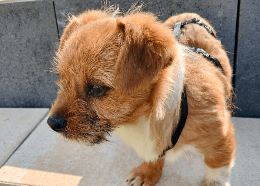 2026 03 25 20 40 25 Posteingang Sina.Rieke Kroeger@oetker.com Outlook