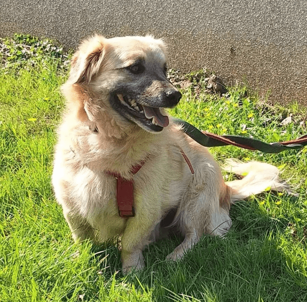 2026 03 25 20 43 29 Posteingang Sina.Rieke Kroeger@oetker.com Outlook