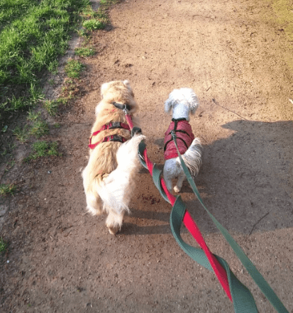 2026 03 25 20 43 32 Posteingang Sina.Rieke Kroeger@oetker.com Outlook