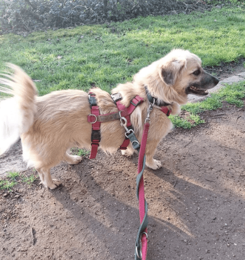 2026 03 25 20 43 35 Posteingang Sina.Rieke Kroeger@oetker.com Outlook