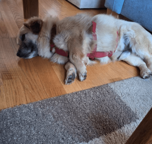 2026 03 25 20 43 41 Posteingang Sina.Rieke Kroeger@oetker.com Outlook