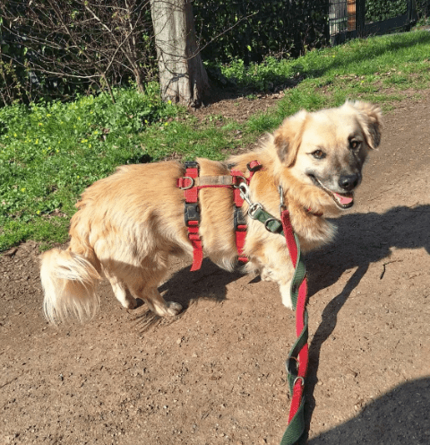 2026 03 25 20 43 46 Posteingang Sina.Rieke Kroeger@oetker.com Outlook