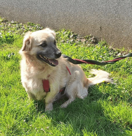 2026 03 25 20 43 49 Posteingang Sina.Rieke Kroeger@oetker.com Outlook