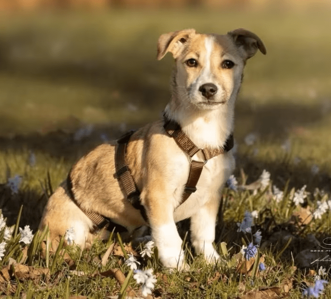 2026 03 25 20 50 49 Posteingang Sina.Rieke Kroeger@oetker.com Outlook