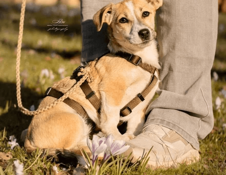 2026 03 25 20 50 53 Posteingang Sina.Rieke Kroeger@oetker.com Outlook