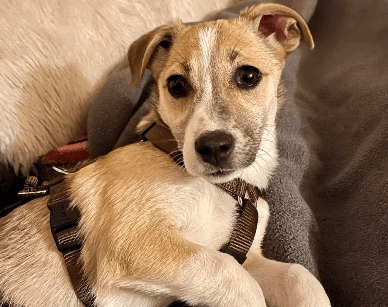 2026 03 25 20 50 58 Posteingang Sina.Rieke Kroeger@oetker.com Outlook