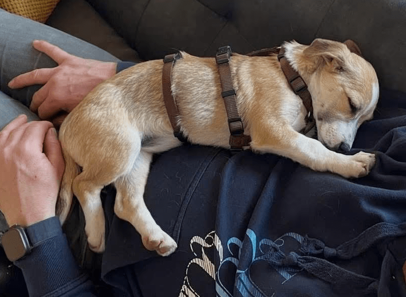 2026 03 25 20 51 03 Posteingang Sina.Rieke Kroeger@oetker.com Outlook