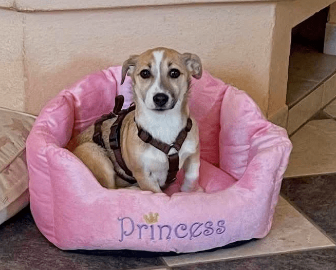 2026 03 25 20 51 08 Posteingang Sina.Rieke Kroeger@oetker.com Outlook