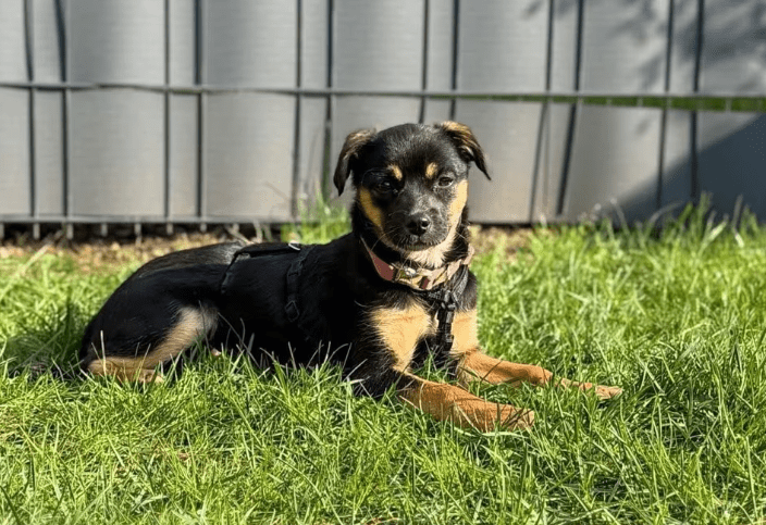 2026 04 01 15 19 52 SPOT # OneIT 2026 Microsoft Teams