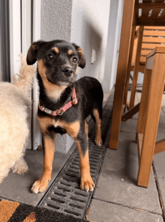 2026 04 01 15 19 59 SPOT # OneIT 2026 Microsoft Teams