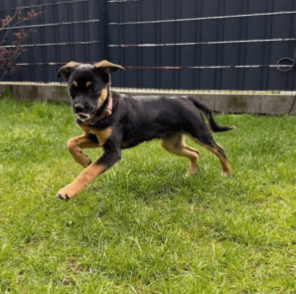 2026 04 01 15 20 09 SPOT # OneIT 2026 Microsoft Teams