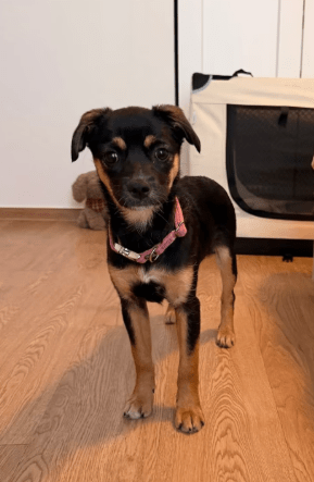 2026 04 01 15 20 20 SPOT # OneIT 2026 Microsoft Teams