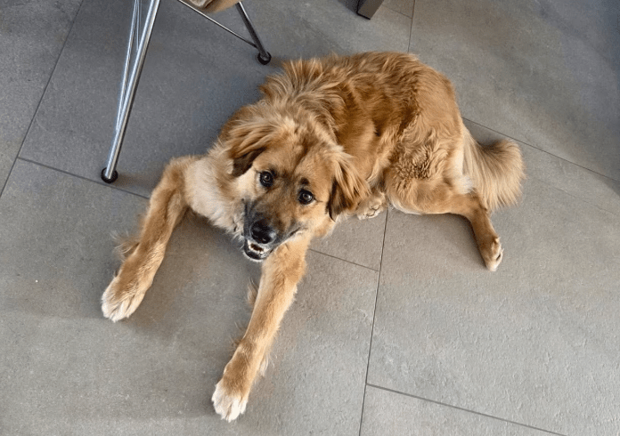 2026 04 01 15 21 23 SPOT # OneIT 2026 Microsoft Teams