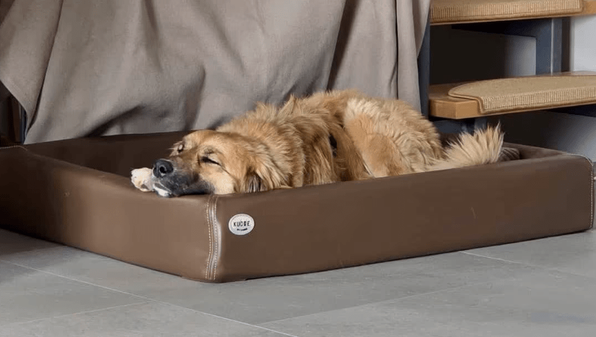 2026 04 01 15 21 28 SPOT # OneIT 2026 Microsoft Teams