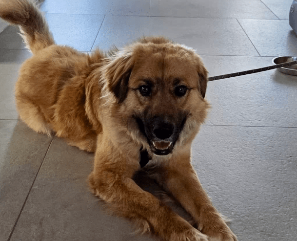 2026 04 01 15 21 32 SPOT # OneIT 2026 Microsoft Teams